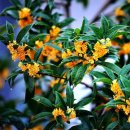 커피브레이크 - 양산시 물금읍 | 커피브레이크