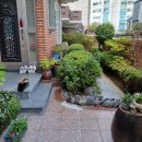 현대중학교 앞 이미지