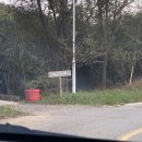 스테이 아네트 | [강원도 양양 숙소 | 스테이아네트] 왕 예쁜 감성 독채 스테이, 바베큐 후기