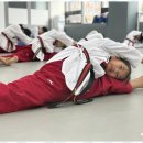 경희대 꿈나무 태권도 이미지