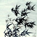 신길영