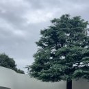 박태준건축사사무소