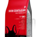 덴탈링크 이미지