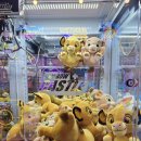 헌터사격장 이미지