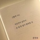 비단향꽃무 이미지