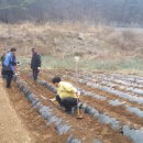 가산면사무소 이미지