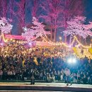 양재천 수변무대1 네이버블로그
