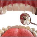 다람쥐키즈치과의원 이미지