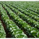 지을 주식회사 이미지