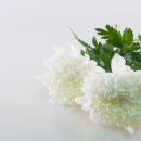 주식회사 바른선 네이버블로그
