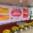 포일근린공원(들락날락) 이미지