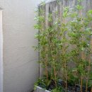 가평듀크하우스키즈가족펜션 이미지