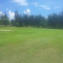 파라다이스골프장 이미지
