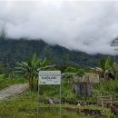 배양태양광발전소 이미지