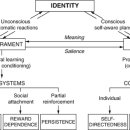 시지초등학교 이미지