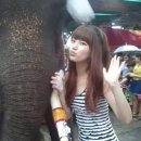 예쁜얼굴이쁜몸매 이미지