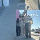 연우사이언스 | USC ISSP 2주차가 호로록 지나간 대학생 이야기