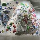 이쁘개 귀엽개 | 22년 8월/ 블로그 1주년