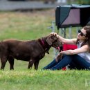 펫스토리 이미지