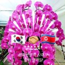 명인기원