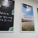대패생각 이미지