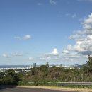 퐁낭아래 1978 이미지