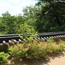 박산정(博山亭) 네이버블로그
