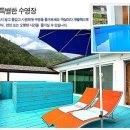 아모르 루시 이미지