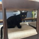 방자스테이 이미지