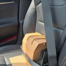 펫포유 | 세종 반려동물 장례식장 펫포유, 대전 근교 반려동물 장례식장 추천, 펫포유 솔직 후기