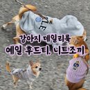 강아지 데일리룩 예일 옷 YALE 후드티 니트 조끼