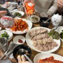 배불도기 이미지