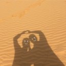 비소(보람)-호-1 | 나트랑 무이네 사막 지프투어 해돋이 선라이즈 베나자 내돈내산 솔직 후기 ♥