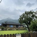 파도마을 삼냥이네 이미지