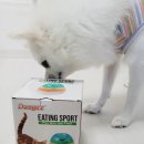 댕댕스낵 이미지