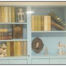 도약 행정사 사무소 이미지