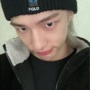 하울 이미지