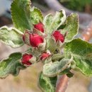 아리수유도 이미지