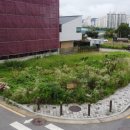 대방VIP공인중개사 이미지