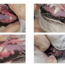 올케어 동물의료센터 이미지