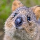 (주)블루렌트카 이미지