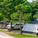 충주호 캠핑월드 이미지