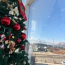 용신53 | 속초 애견동반 겨울여행, 용신포차, 헬로우씨카페, 진솔할머니순두부 까지(+만족도 100%, 애견동반 여행...