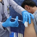 [뉴스보도] [조선일보] [단독] 코로나 백신 접종자, 치매 발병률 23% 높았다 이미지