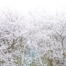 남산보건지소 이미지