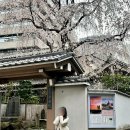 ok supermarket | 도쿄 3박4일 DAY3~4｜멘야무사시 이케부쿠로 , 도쿄타워 스팟, 아사히 스카이룸, 팡메종, 스카이라이너