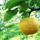 오케이농원 네이버블로그