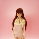 워너비어 이미지