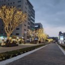 말나눔터 공원 이미지