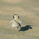 영우목장 이미지